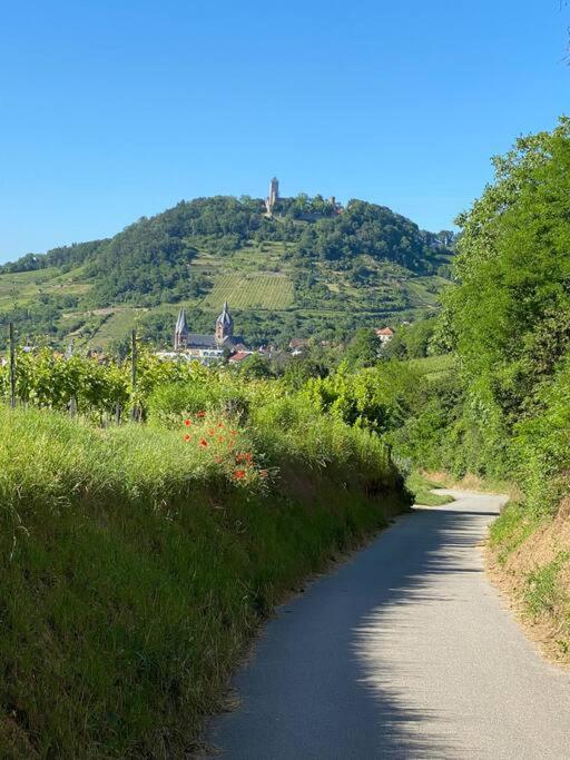 Acapella Suite Adagio 54Qm, Direkt Am Weinberg, Altstadt, Netflix Inklusive Heppenheim  Экстерьер фото